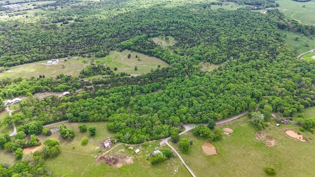 2971 Ownby Rd, Lewisburg, TN 37091 - birds eye view of property featuring a view of trees