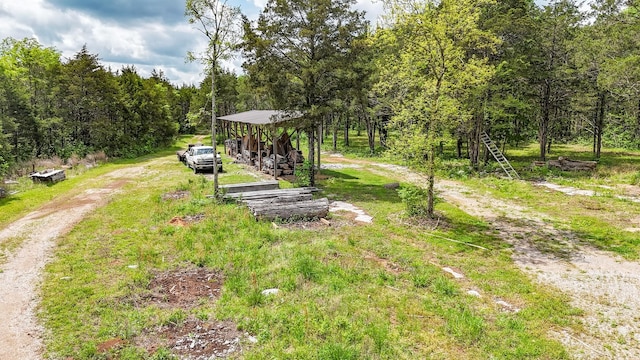 2971 Ownby Rd, Lewisburg, TN 37091 - view of yard with dirt driveway and a view of trees