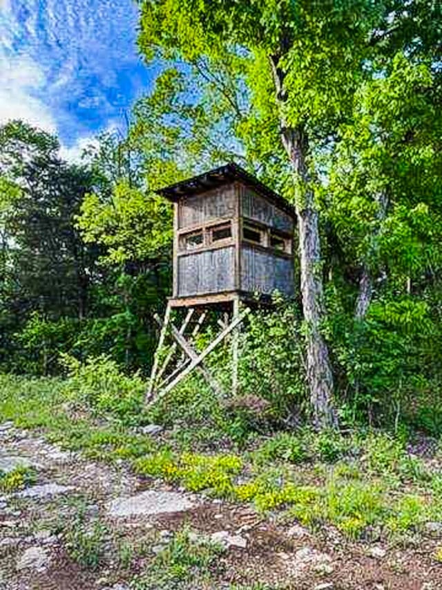 2971 Ownby Rd, Lewisburg, TN 37091 - view of outbuilding