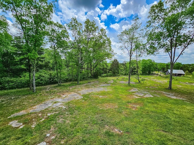 2971 Ownby Rd, Lewisburg, TN 37091 - view of yard