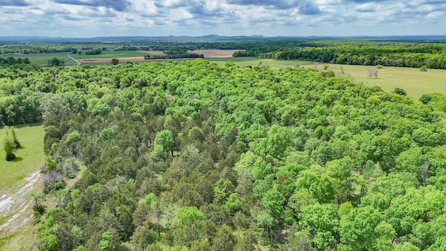 2971 Ownby Rd, Lewisburg, TN 37091 - birds eye view of property featuring a wooded view