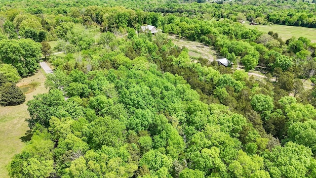 2971 Ownby Rd, Lewisburg, TN 37091 - bird's eye view with a view of trees