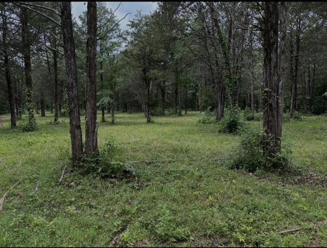 2971 Ownby Rd, Lewisburg, TN 37091 - photo 92