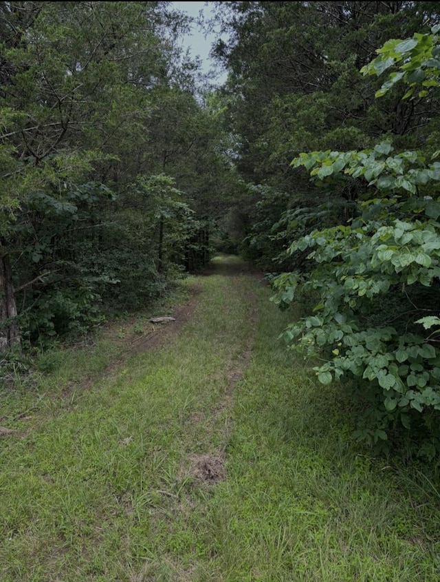 2971 Ownby Rd, Lewisburg, TN 37091 - photo 94