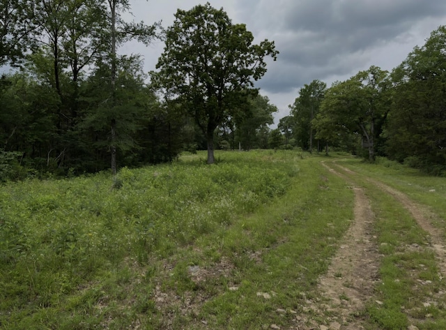 2971 Ownby Rd, Lewisburg, TN 37091 - photo 2