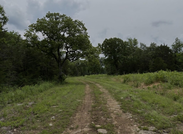 2971 Ownby Rd, Lewisburg, TN 37091 - photo 95