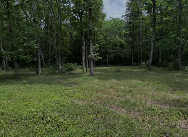 2971 Ownby Rd, Lewisburg, TN 37091 - photo 3
