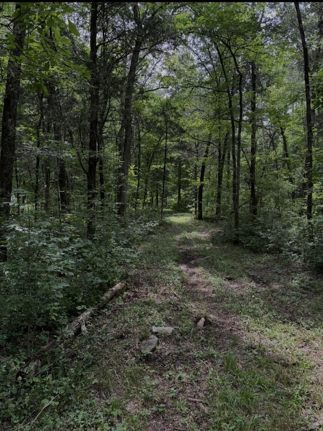 2971 Ownby Rd, Lewisburg, TN 37091 - photo 96