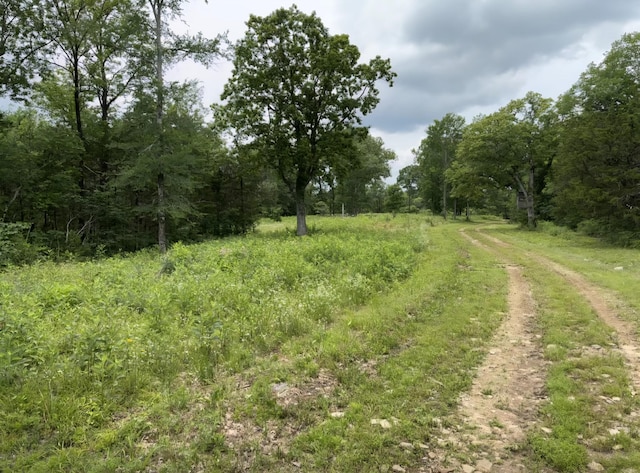 2971 Ownby Rd, Lewisburg, TN 37091 - photo 93