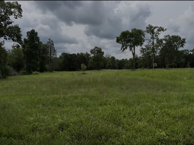 2971 Ownby Rd, Lewisburg, TN 37091 - photo 4