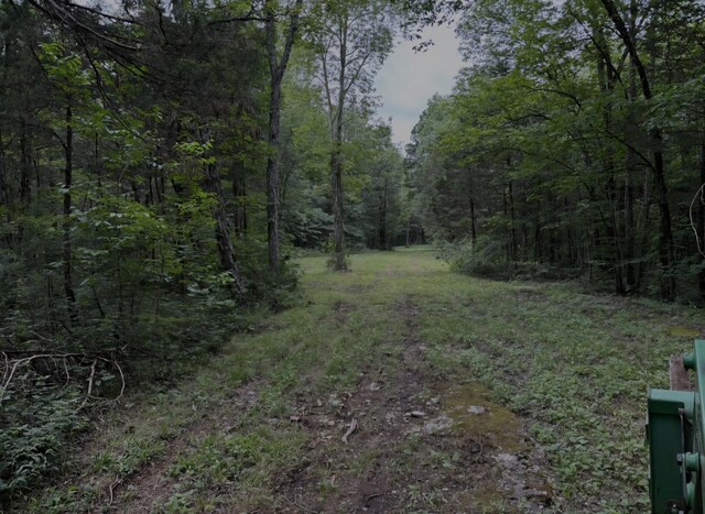 2971 Ownby Rd, Lewisburg, TN 37091 - photo 98
