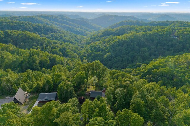 1673 Coconut Ridge Rd, Smithville, TN 37166 - photo 5