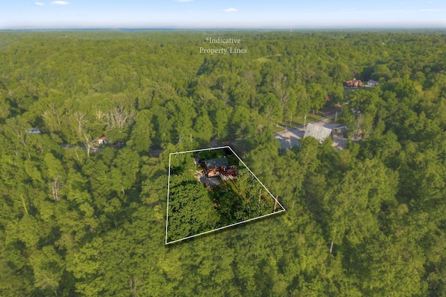 1673 Coconut Ridge Rd, Smithville, TN 37166 - photo 9