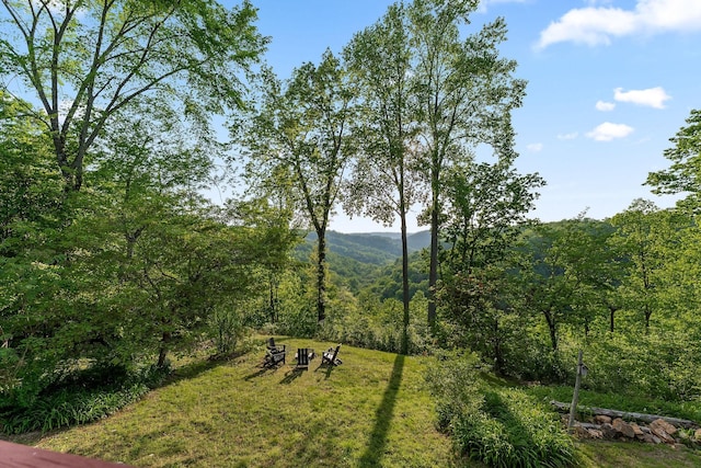 1673 Coconut Ridge Rd, Smithville, TN 37166 - photo 29