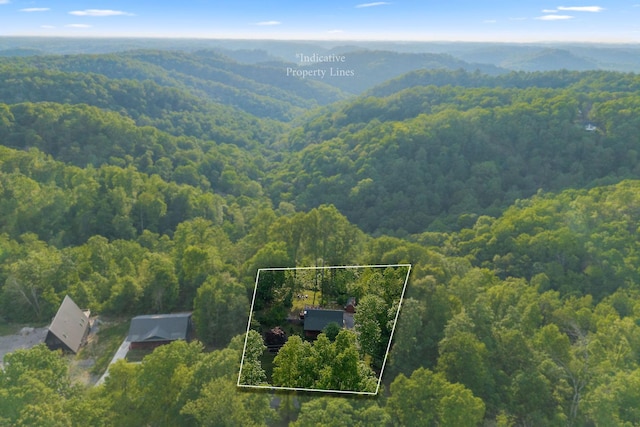 1673 Coconut Ridge Rd, Smithville, TN 37166 - photo 6