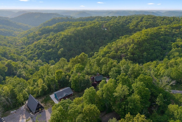 1673 Coconut Ridge Rd, Smithville, TN 37166 - photo 7