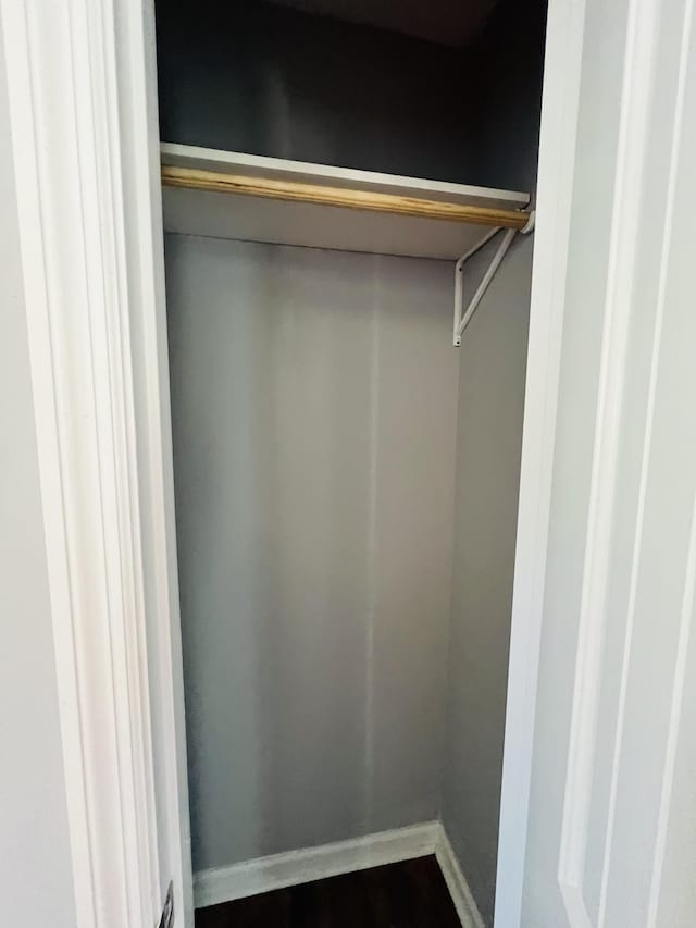 436 White Rd, Leoma, TN 38468 - view of closet