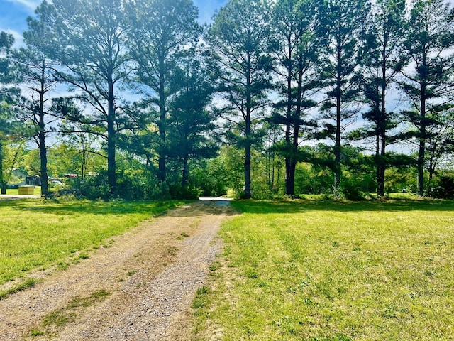 436 White Rd, Leoma, TN 38468 - view of street
