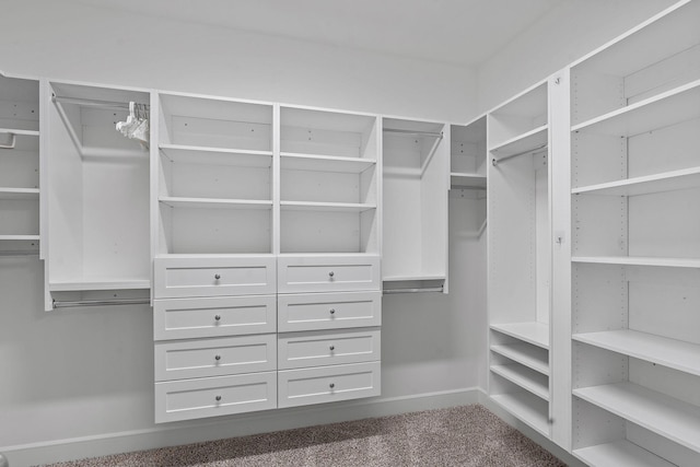 1209 Janie Sue Ct, Lebanon, TN 37087 - spacious closet with carpet floors