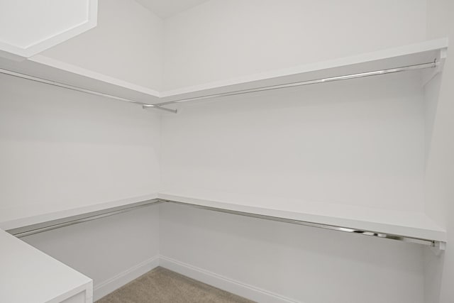 spacious closet with light colored carpet