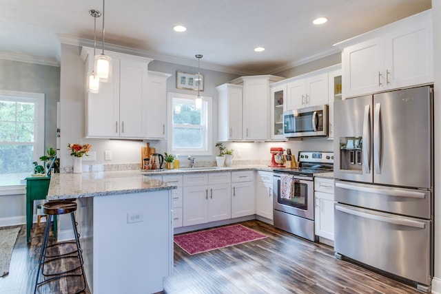 kitchen featuring appliances with stainless steel finishes, plenty of natural light, a peninsula, and dark wood-style floors