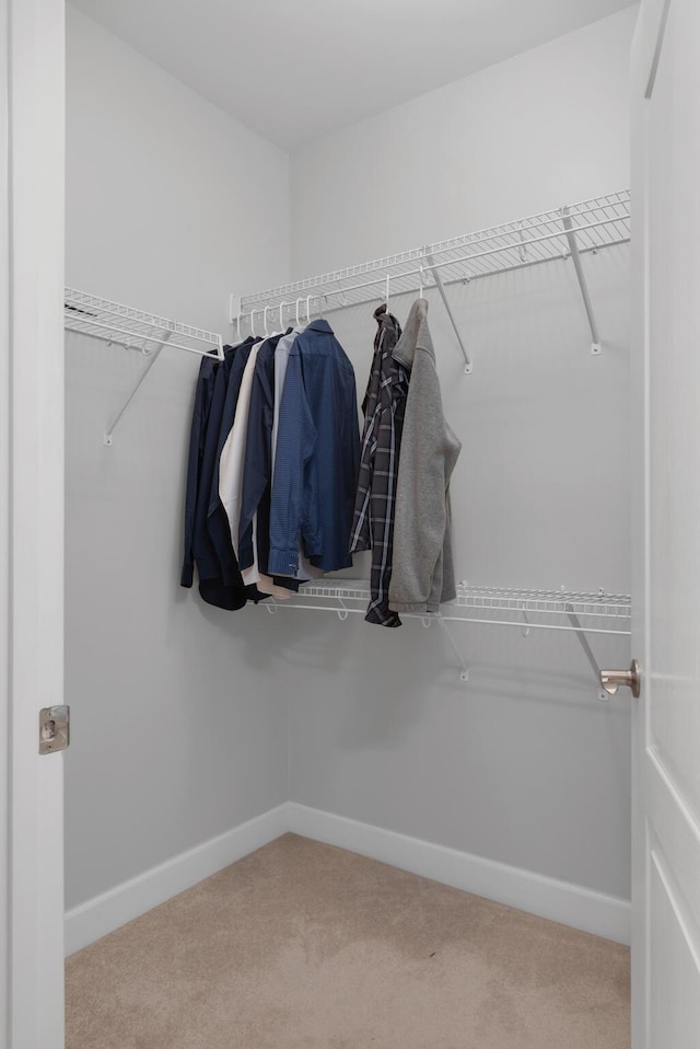 spacious closet with carpet floors