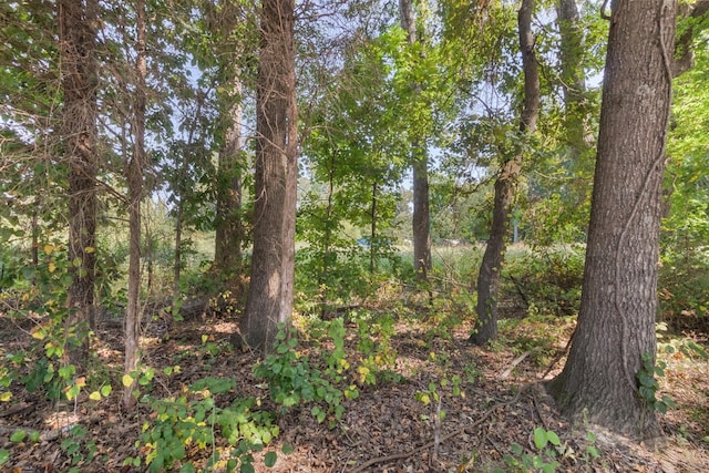 view of nature featuring a view of trees