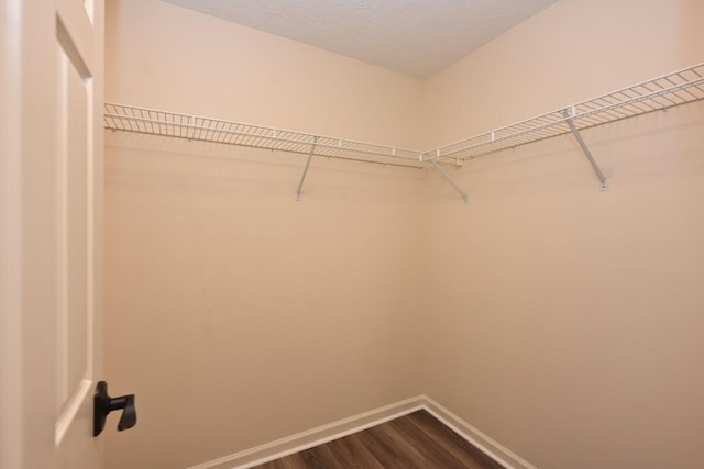 spacious closet with dark wood-style flooring