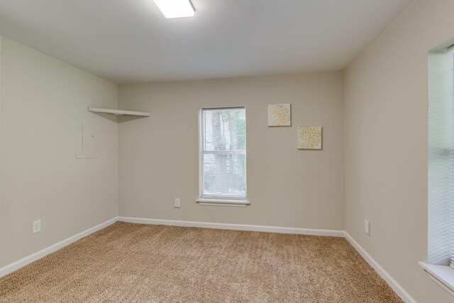 316 Scalf Dr, Madison, TN 37115 - photo 16