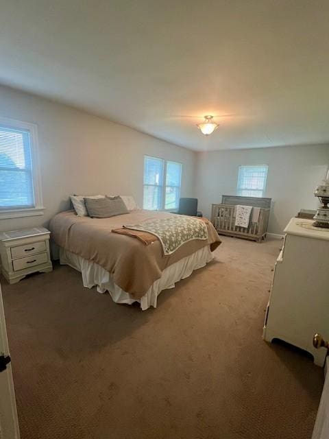 bedroom featuring multiple windows and carpet