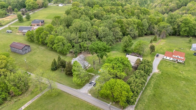 drone / aerial view