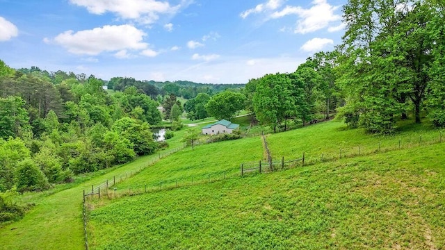 1121 Walnut Grove Church Rd, Dayton, TN 37321 - view of yard with fence, a view of trees, and a rural view