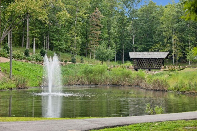 5715 Greenbrier Rd, Franklin, TN 37064 - view of property's community featuring a water view