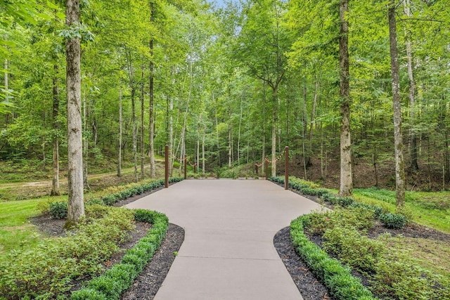 5715 Greenbrier Rd, Franklin, TN 37064 - view of community with a patio area and a forest view