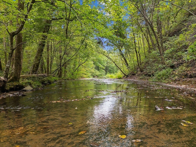 5715 Greenbrier Rd, Franklin, TN 37064 - water view featuring a view of trees
