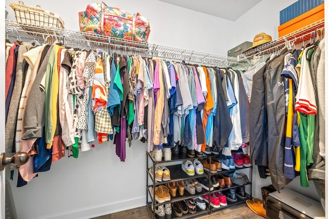 175 Harvard Dr, Gallatin, TN 37066 - walk in closet with wood finished floors