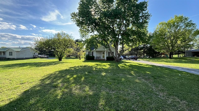view of yard with driveway