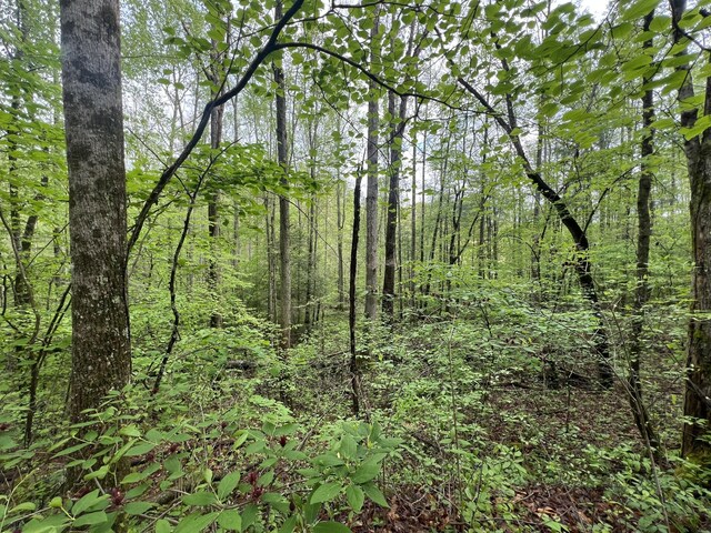 103 Bear Den Trl, Grandview, TN 37337 - photo 2
