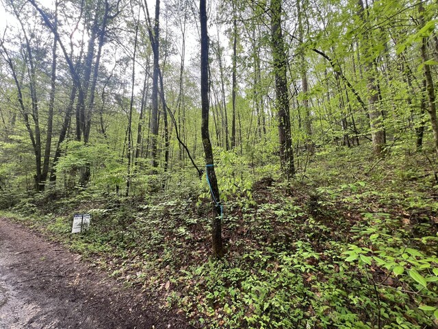 104 Bear Den Trl, Grandview, TN 37337 - photo 2