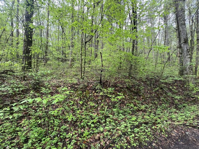 104 Bear Den Trl, Grandview, TN 37337 - photo 4