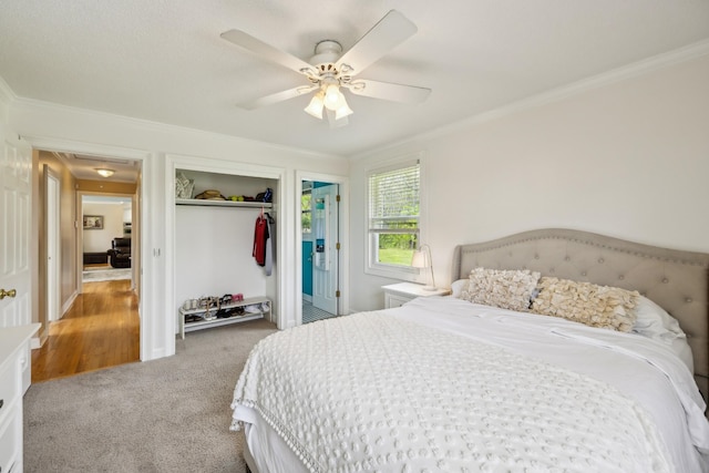 921 Cooks Rd, Mount Juliet, TN 37122 - bedroom featuring a closet, ornamental molding, carpet flooring, and ceiling fan