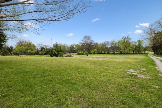 921 Cooks Rd, Mount Juliet, TN 37122 - view of yard