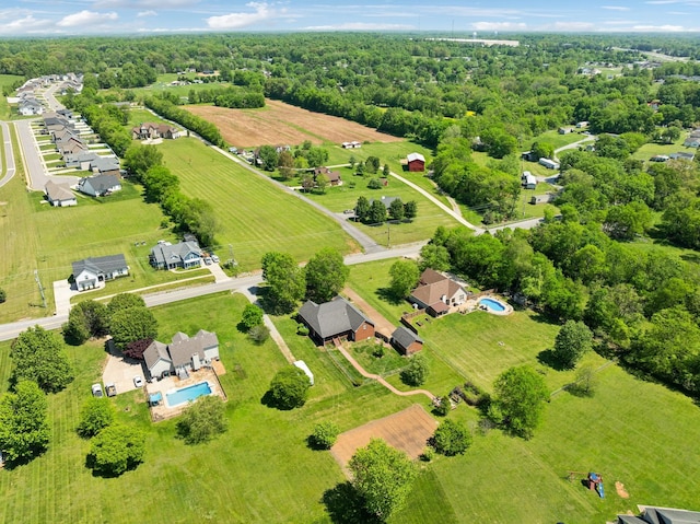 bird's eye view