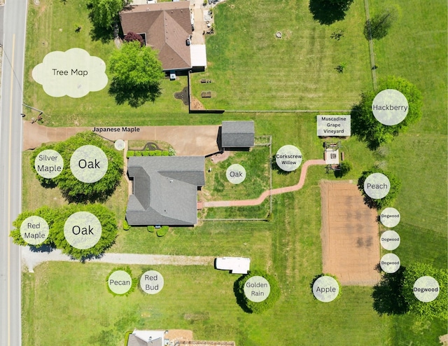 aerial view