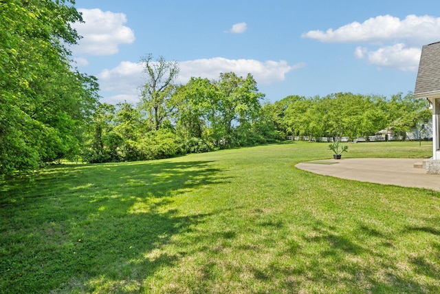 view of yard with a patio area