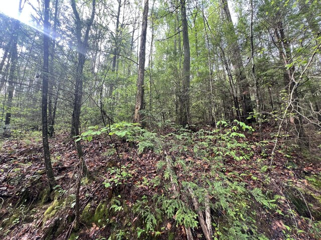 111 Bear Den Trl, Grandview, TN 37337 - photo 2