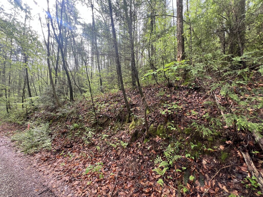 111 Bear Den Trl, Grandview, TN 37337 - photo 1