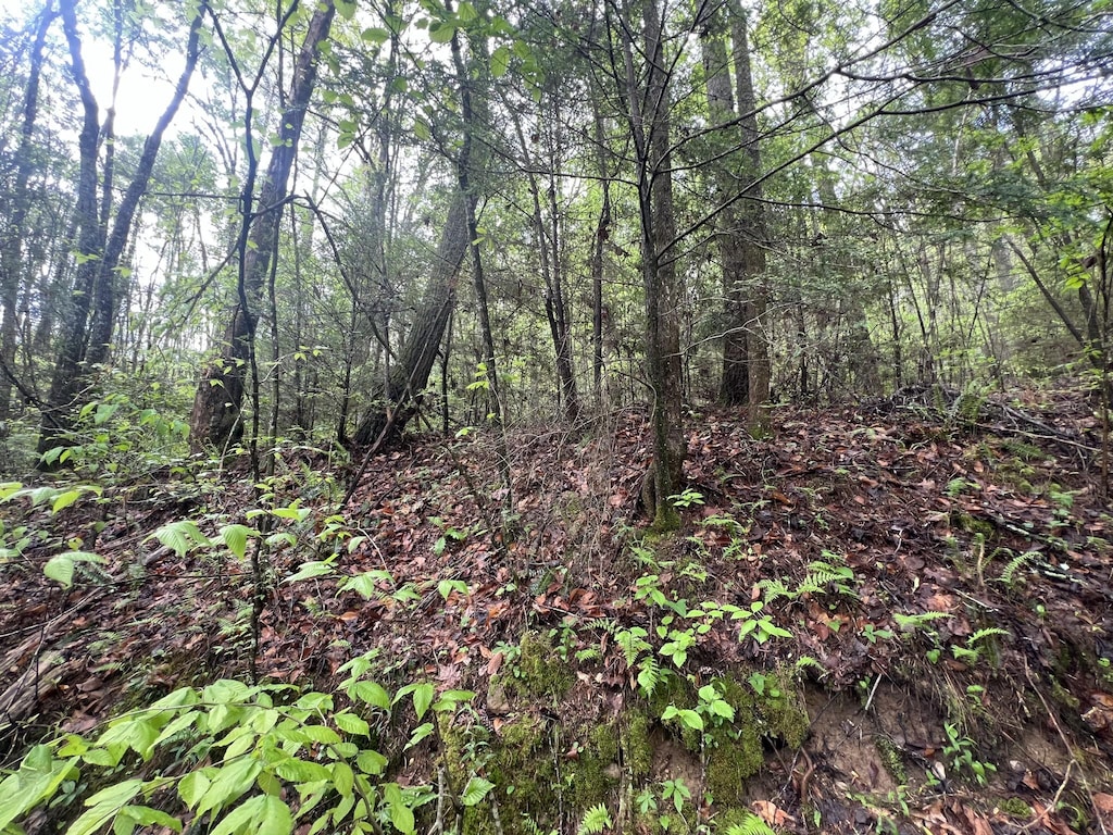 111 Bear Den Trl, Grandview, TN 37337 - photo 3