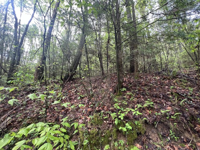 111 Bear Den Trl, Grandview, TN 37337 - photo 3