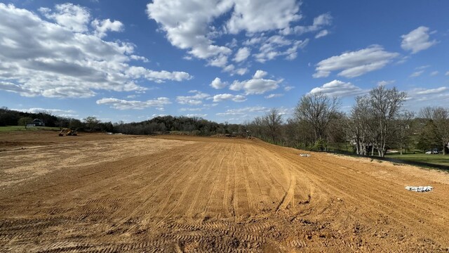 629 Forest Retreat Rd, Hendersonville, TN 37075 - photo 4